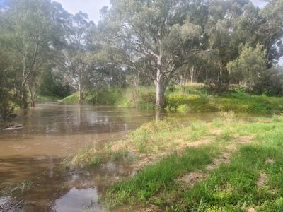 Gawler Showgrounds