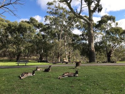 Cleland National Park