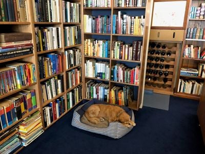 The Cemetery of Forgotten Books