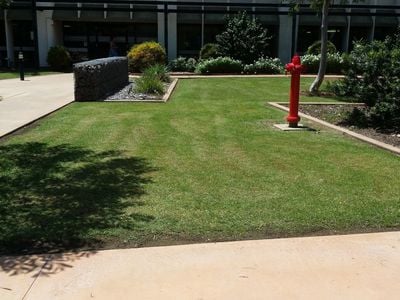 NT Department of Health Library