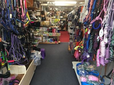 Lanskey's Saddlery Townsville