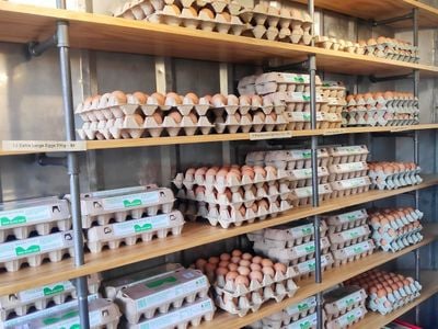 Majura Valley Free Range Eggs