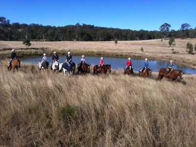 Cowboy Up Trail Riding