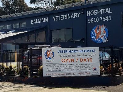 Balmain Veterinary Hospital