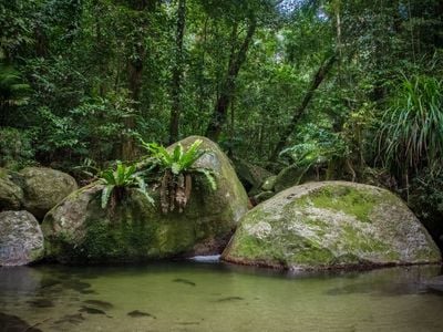 FNQ Nature Tours