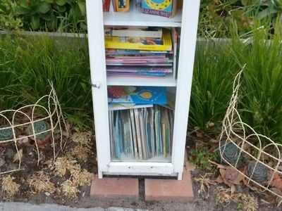 Little Free Library