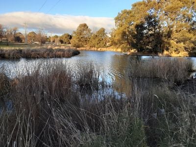 Giralang Wetlands