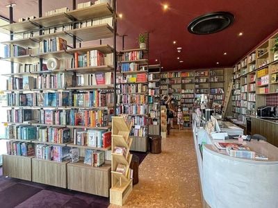 The Chestnut Tree Bookshop