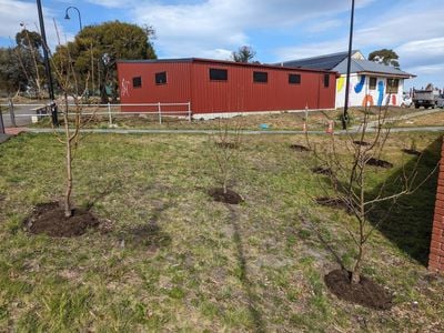 Clarendon Vale Neighbourhood Centre