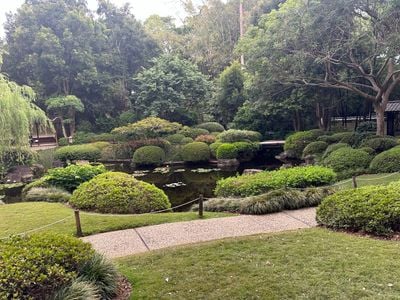 Brisbane Botanic Gardens Mt Coot-tha