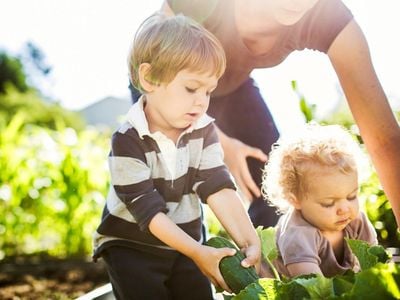 Goodstart Early Learning Golden Square