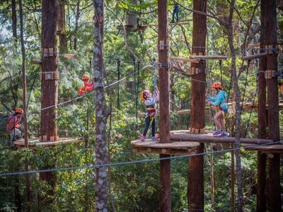 Treetops Adventure Coffs Harbour