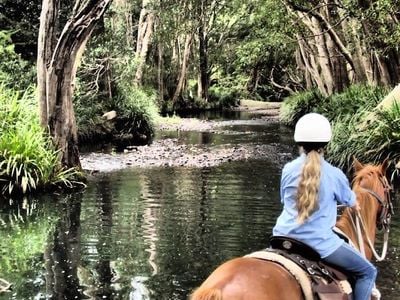 HWH Stables - Riding School & Trail Rides, Coffs Harbour