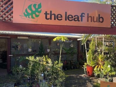 The Leaf Hub